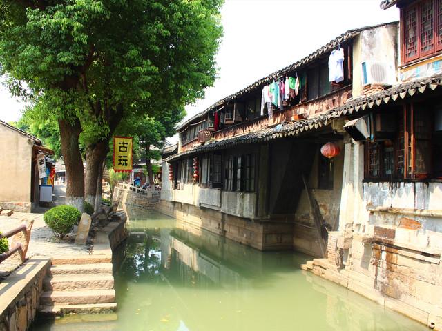 胖小猫救援